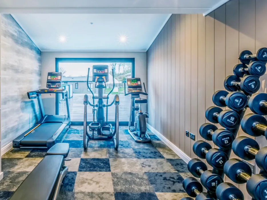 Modern fitness room with treadmill, elliptical trainer and dumbbell rack by a large window