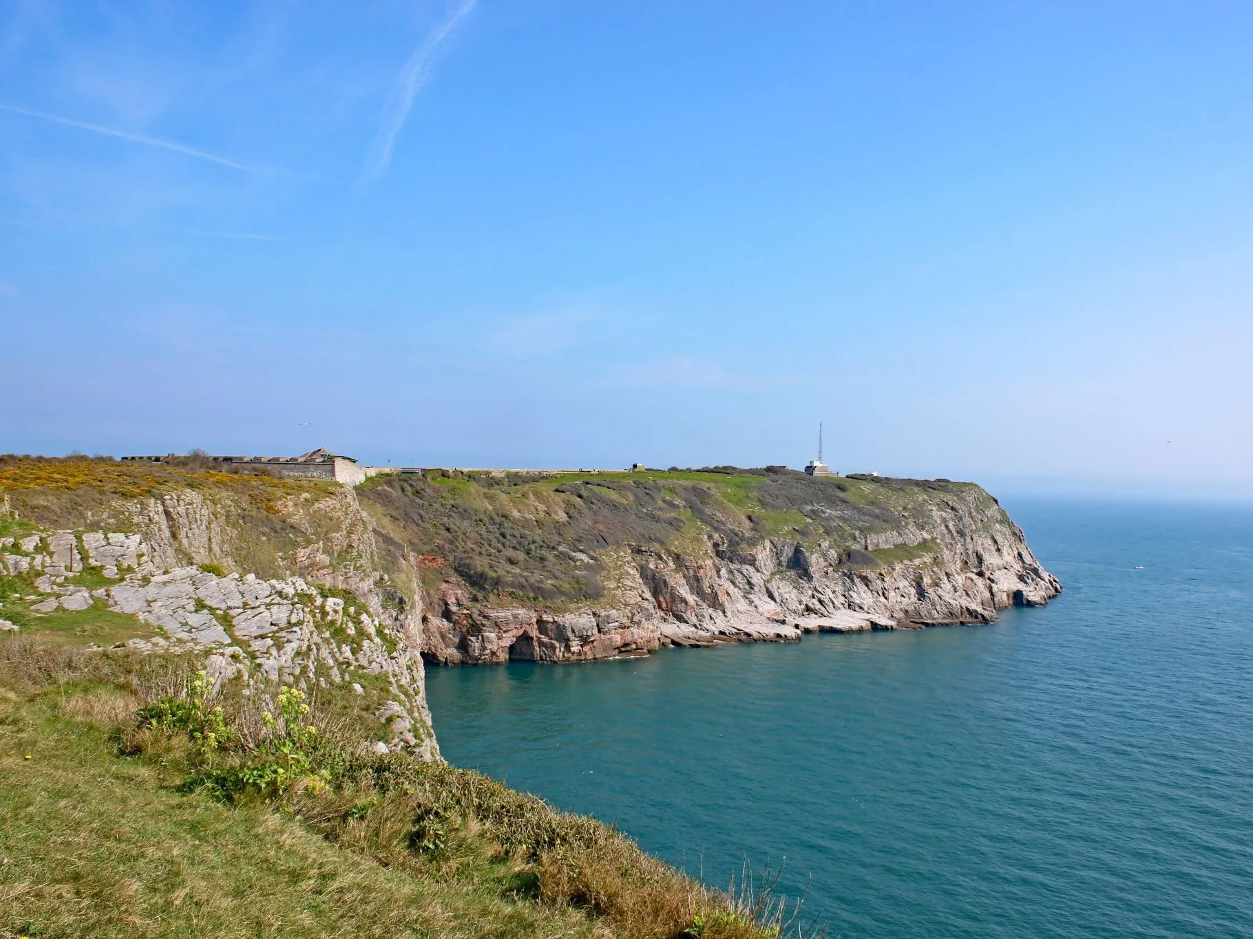 Rocky coastal cliffs at Berry Head overlooking calm blue sea under a clear sky