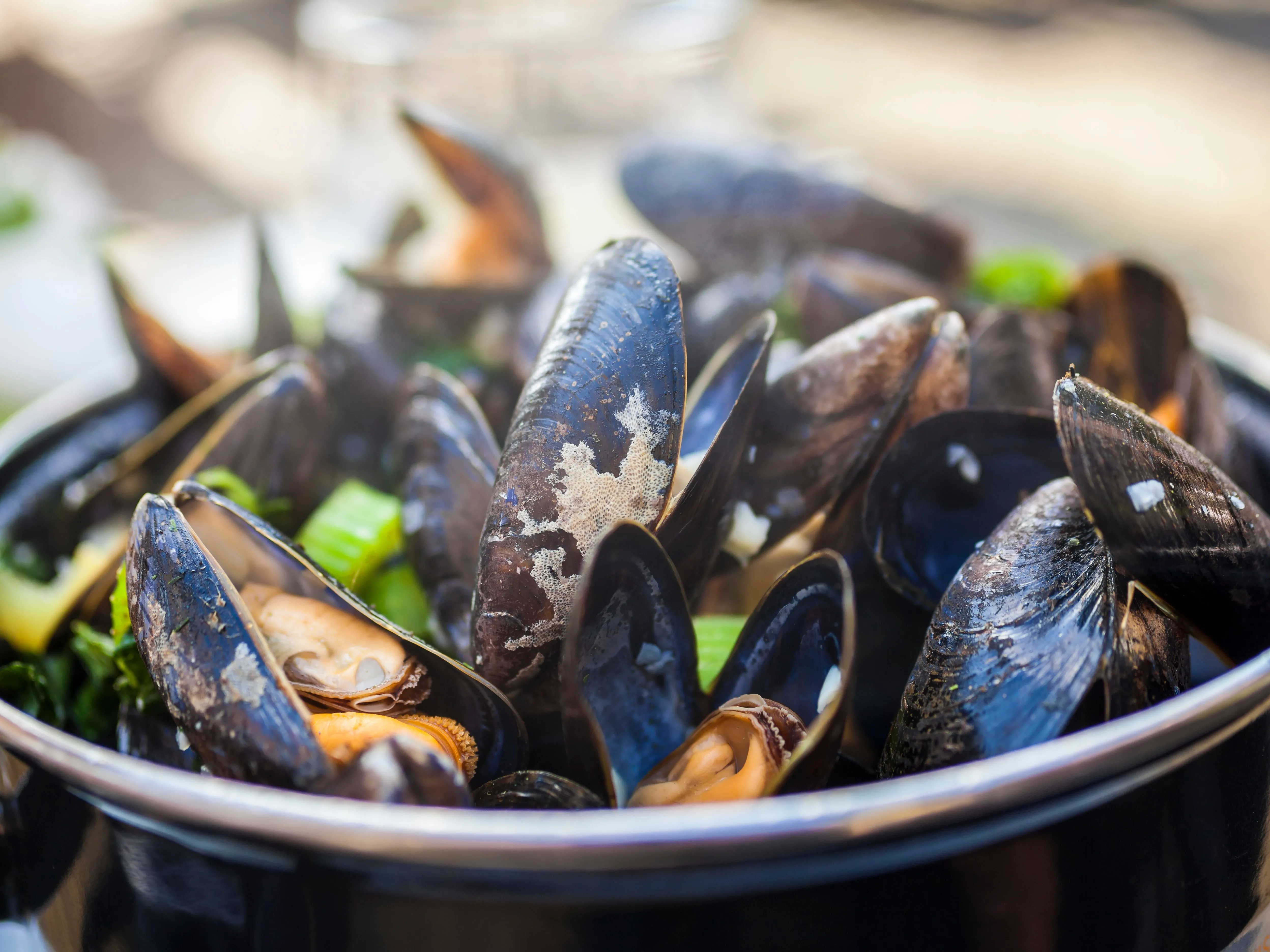 Close-up of steamed mussels in a black pot with green herbs and vegetables