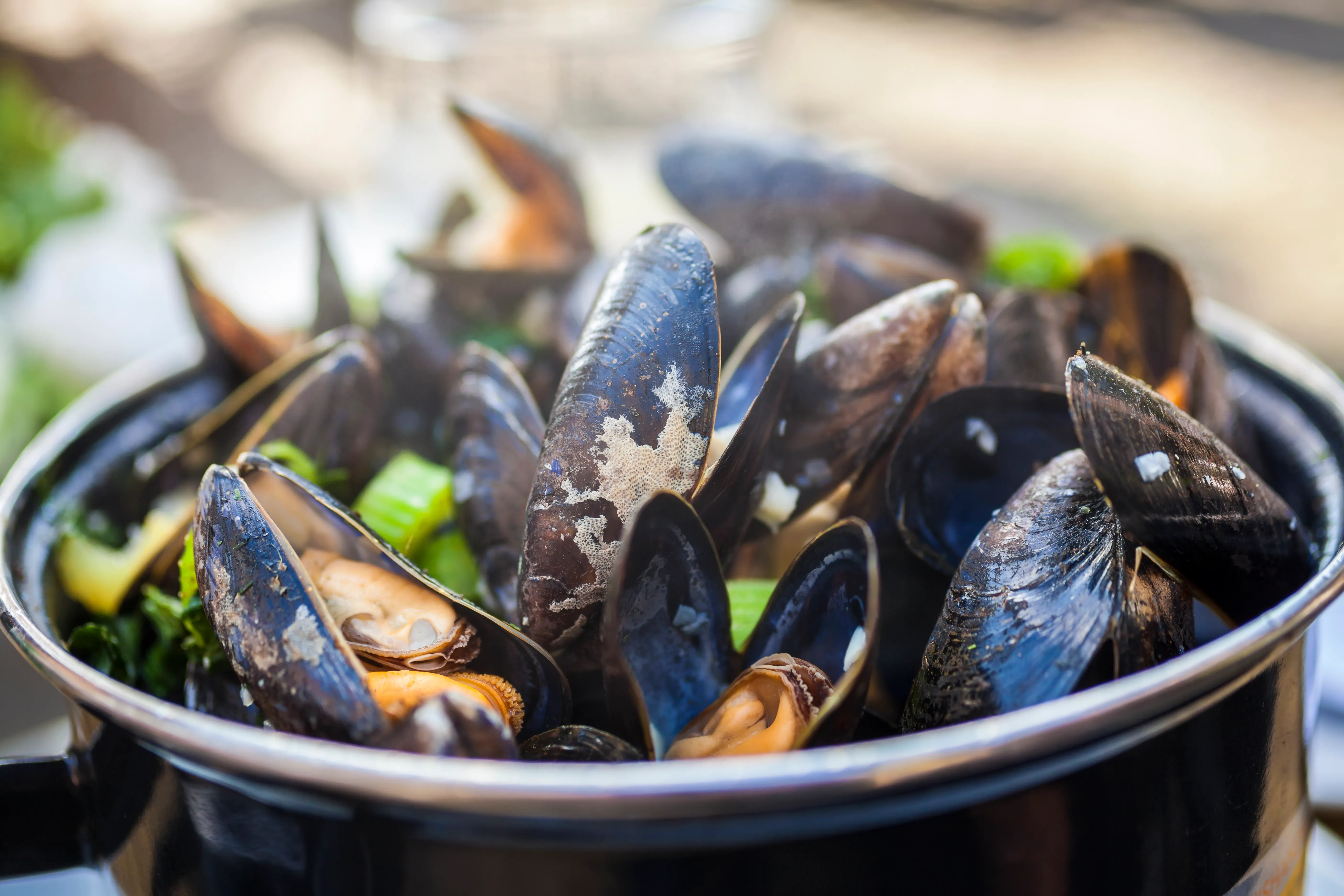 Close-up of steamed mussels in a black pot with herbs and vegetables