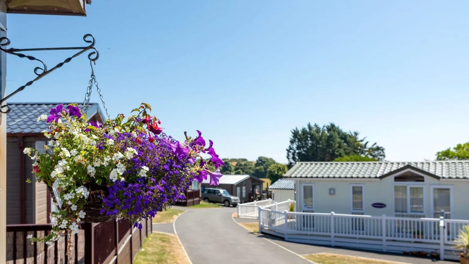 Hanging basket of colourful flowers beside holiday lodges at Landscove Holiday Park