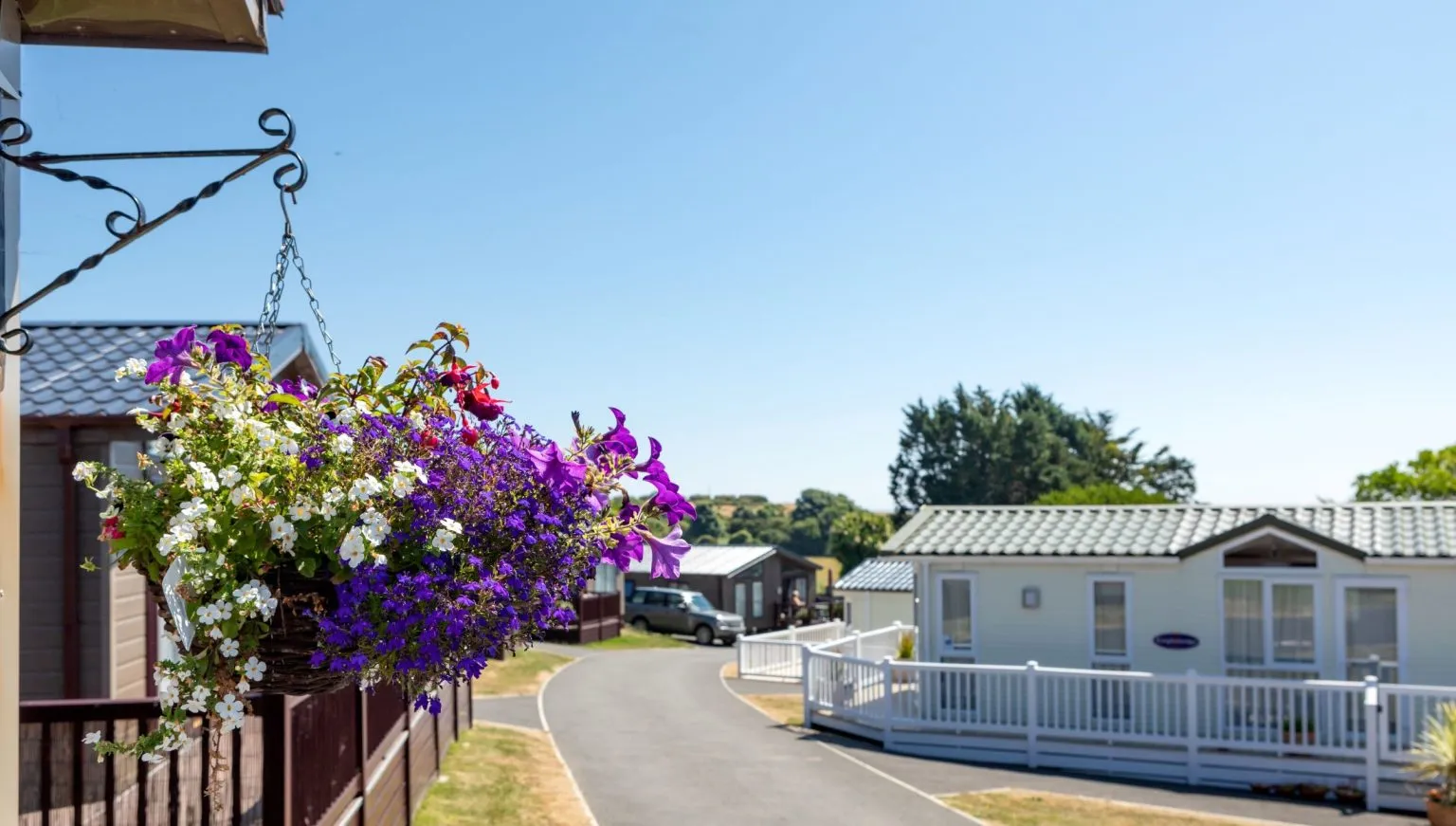 Hanging basket of colourful flowers beside holiday lodges at Landscove Holiday Park
