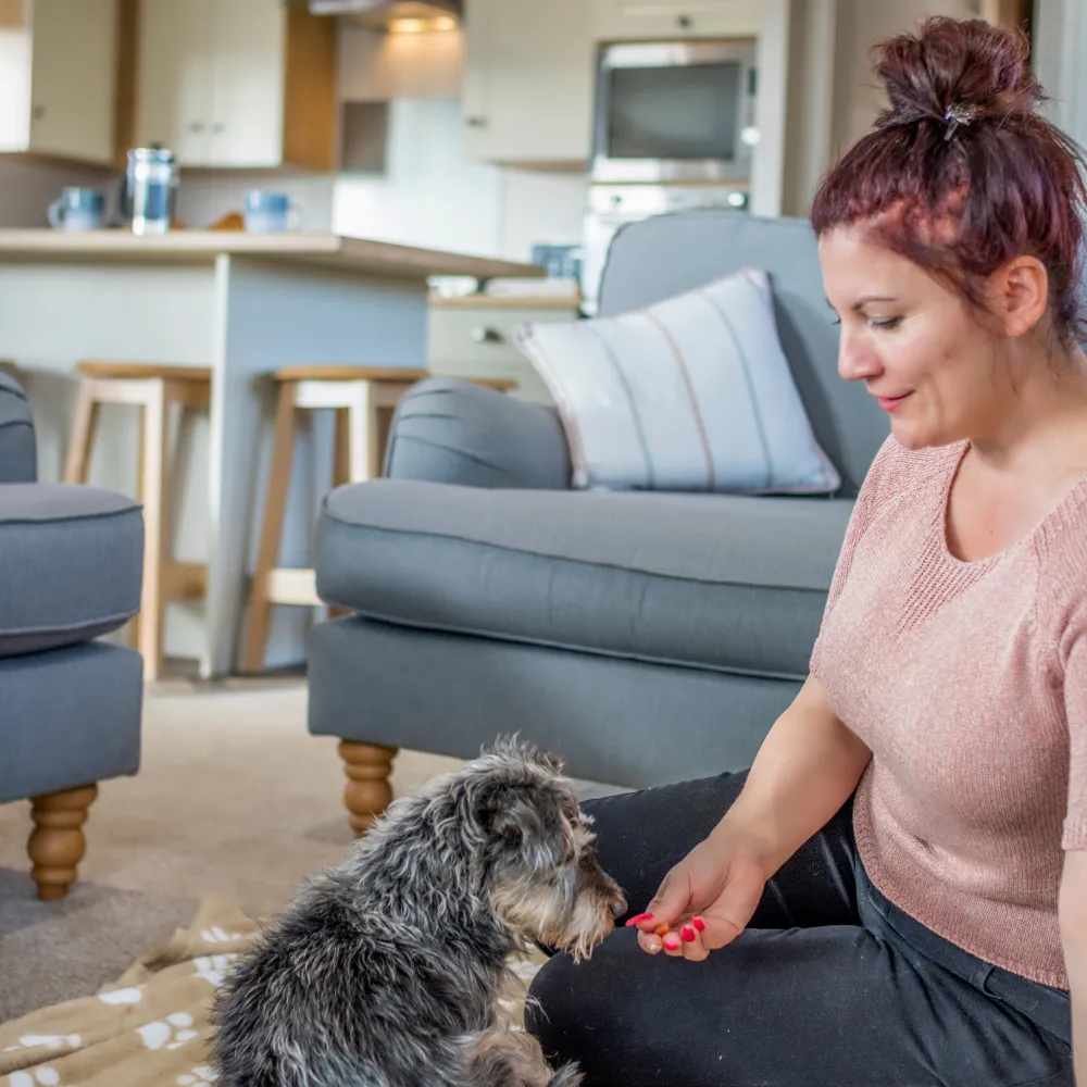 Woman sitting on the floor feeding a small dog in a modern lodge living room with kitchen in the background