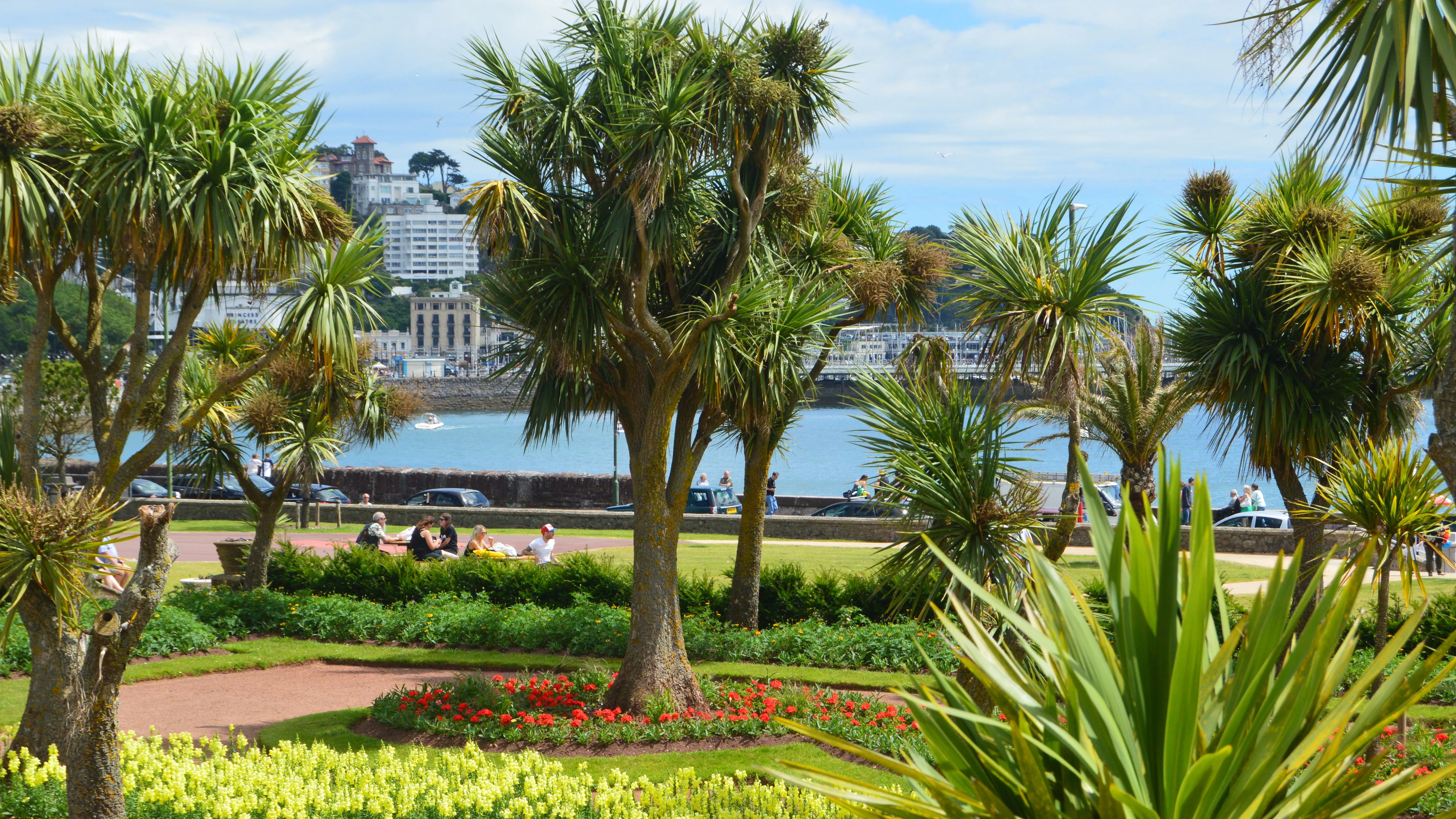 Subtropical seaside garden with palm-like trees, colourful flower beds and a waterfront town beyond