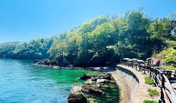 Sunny coastal cove with turquoise water, rocky shoreline and a waterside path with railings and café seating