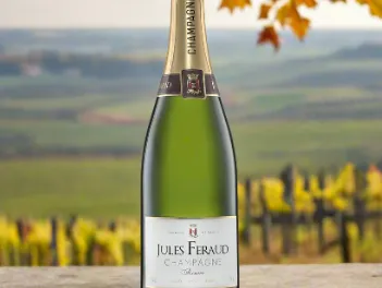 Bottle of Jules Feraud Champagne on a stone ledge with vineyard scenery in the background