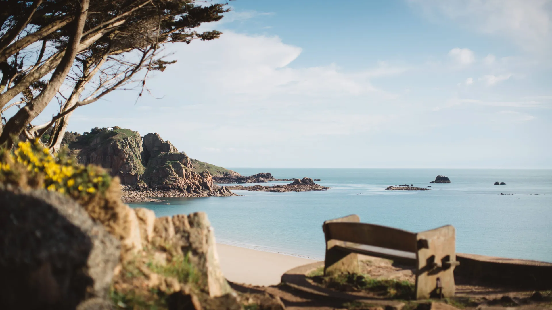 Wooden bench overlooking a calm sandy bay with rocky cliffs, trees and a bright blue sky
