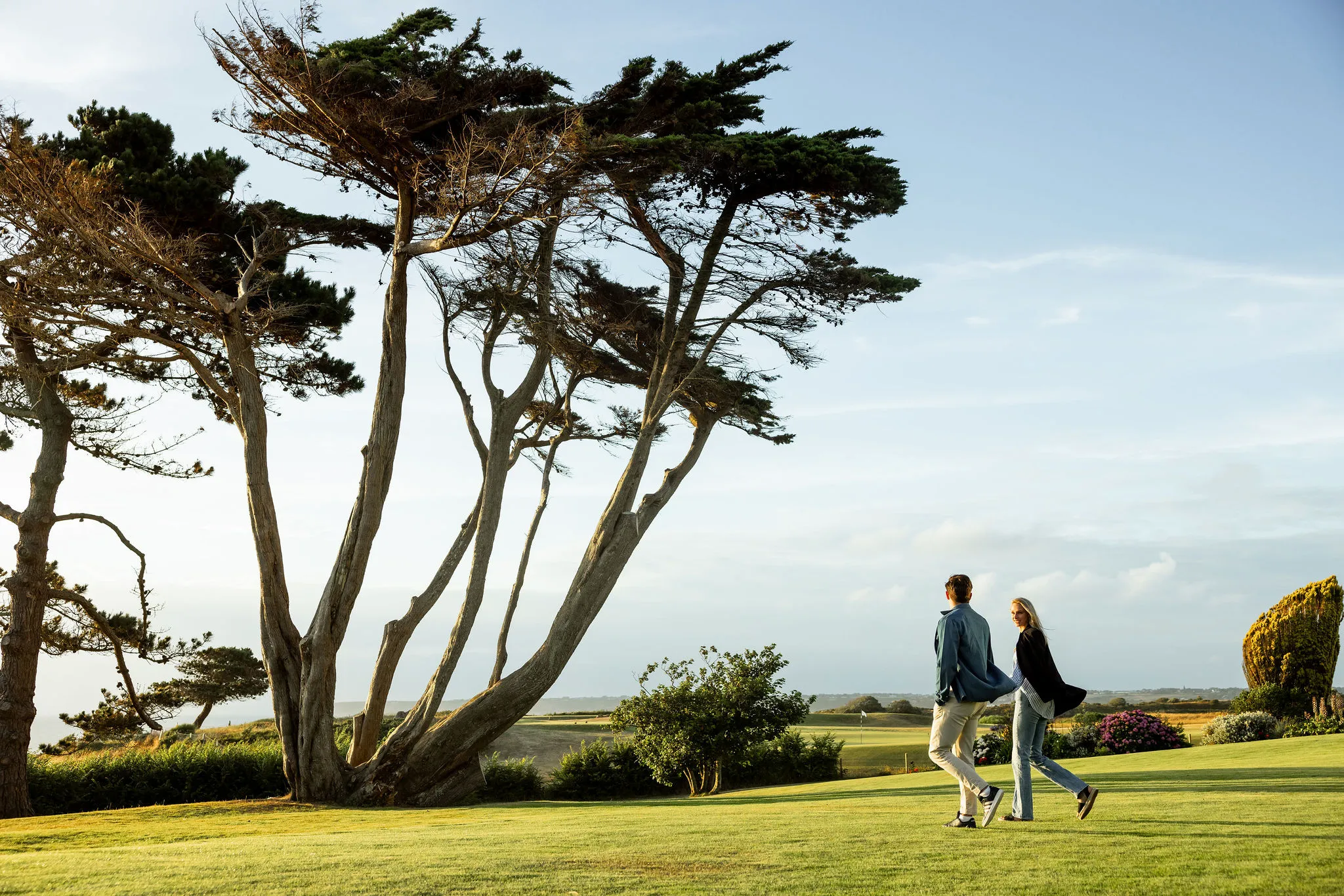 Couple walking across the lawn beside wind-shaped coastal trees at Atlantic Hotel