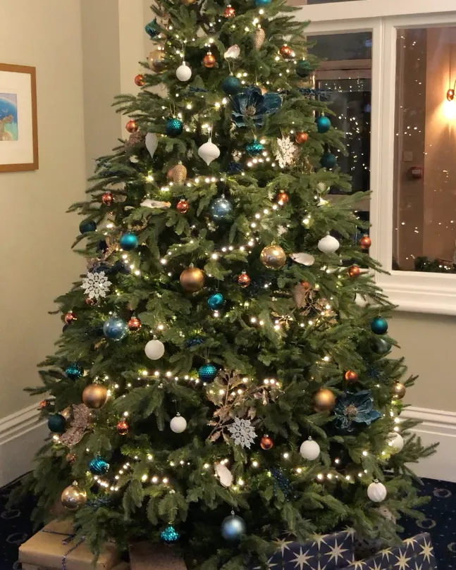 Tall decorated Christmas tree with warm white lights, blue, gold and white baubles, and wrapped presents beneath it.