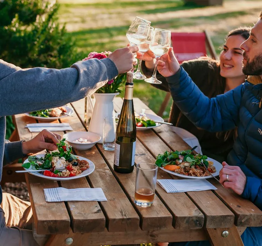 Friends clinking wine glasses over an outdoor picnic table set with dinner plates and a bottle of white wine