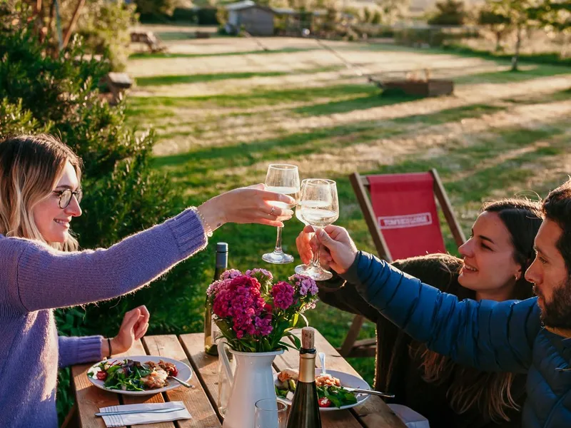 Friends clinking wine glasses over an outdoor table set for dinner in a grassy campsite