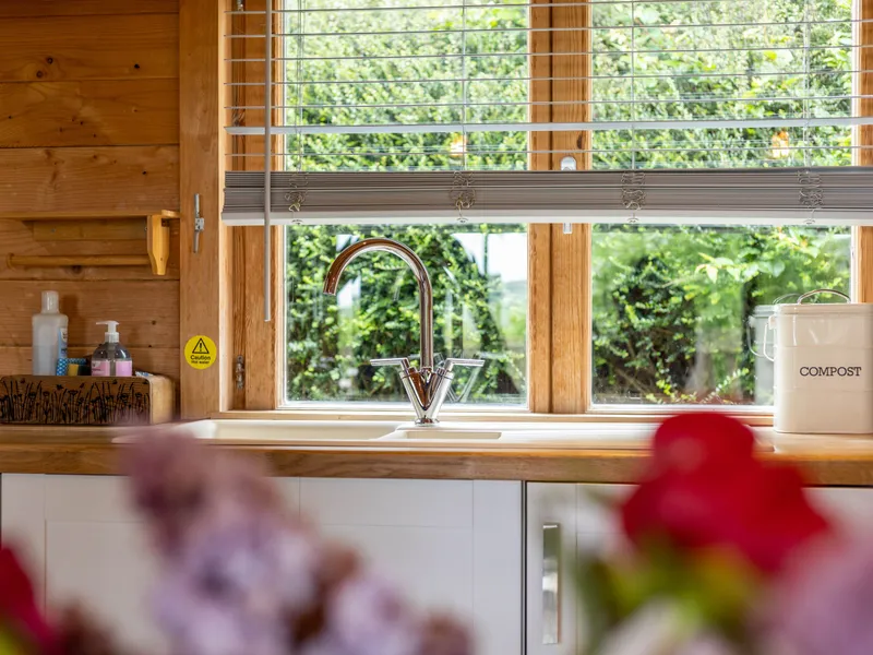 Kitchen sink and chrome tap beneath a window with wooden walls and greenery outside