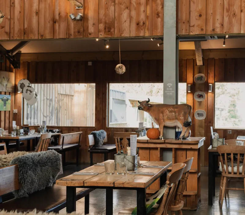 Rustic farm restaurant interior with wooden tables, sheepskin throws and a model cow on a central stand