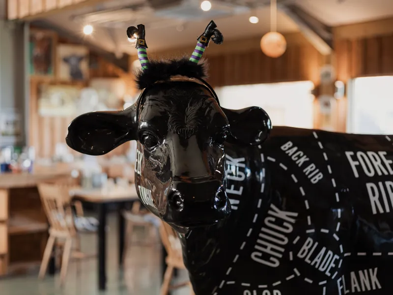 Black cow statue with butcher’s cut markings and novelty striped horns inside a rustic restaurant