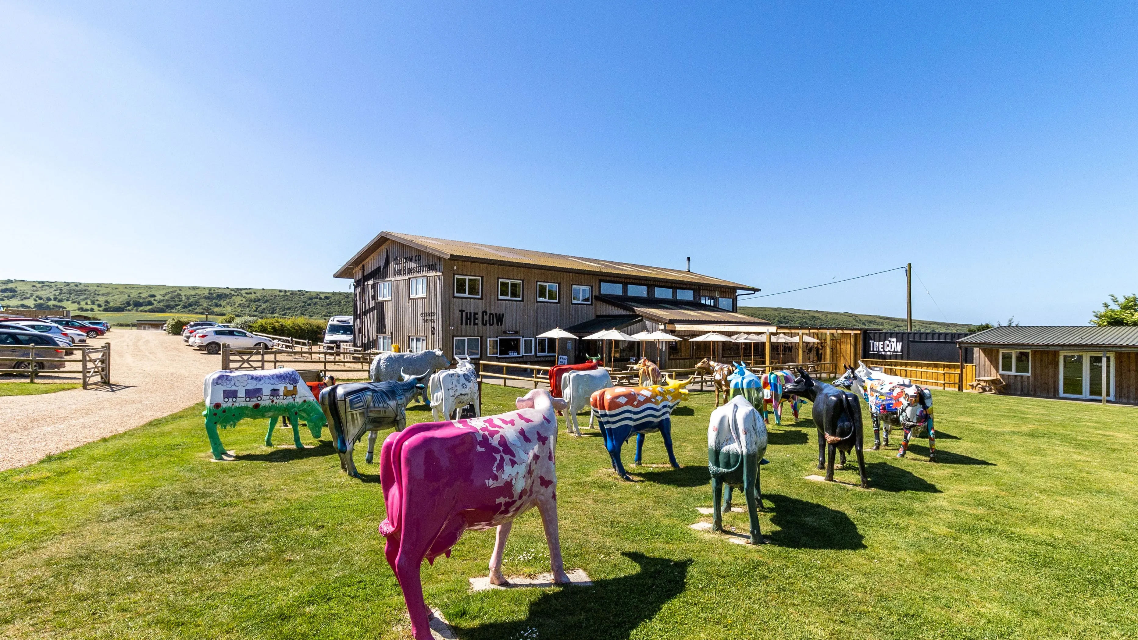 Colourful cow sculptures on a grassy lawn outside The Cow building under a clear blue sky