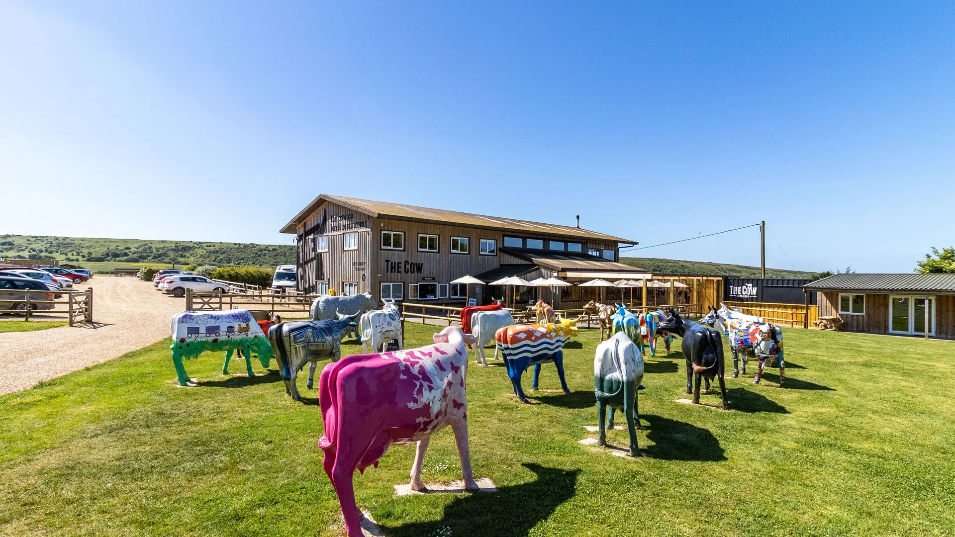 Colourful cow sculptures on a grassy lawn outside The Cow building under a clear blue sky