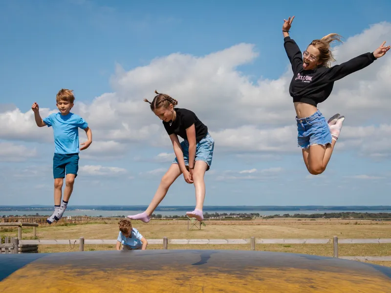 Children and a teenager jumping on an outdoor inflatable pillow at a farm park on a sunny day