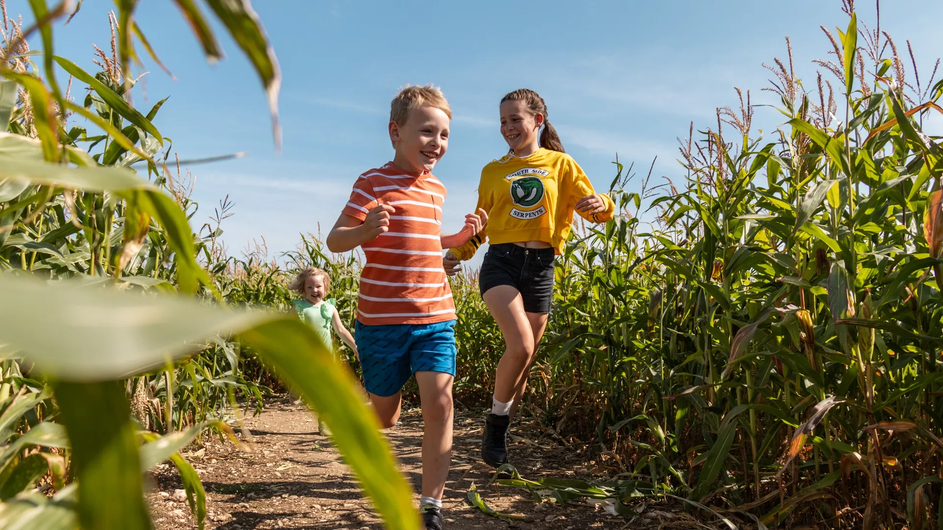 Children running along a path through a maize maze on a sunny day