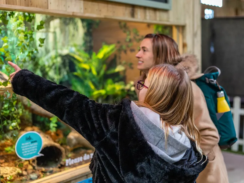 Two visitors in winter coats looking into a glass animal enclosure, with one pointing at the display.