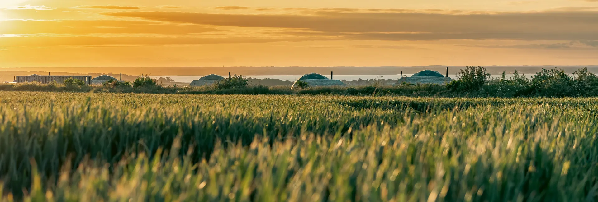 Golden sunset over a grassy field with domed huts on the horizon