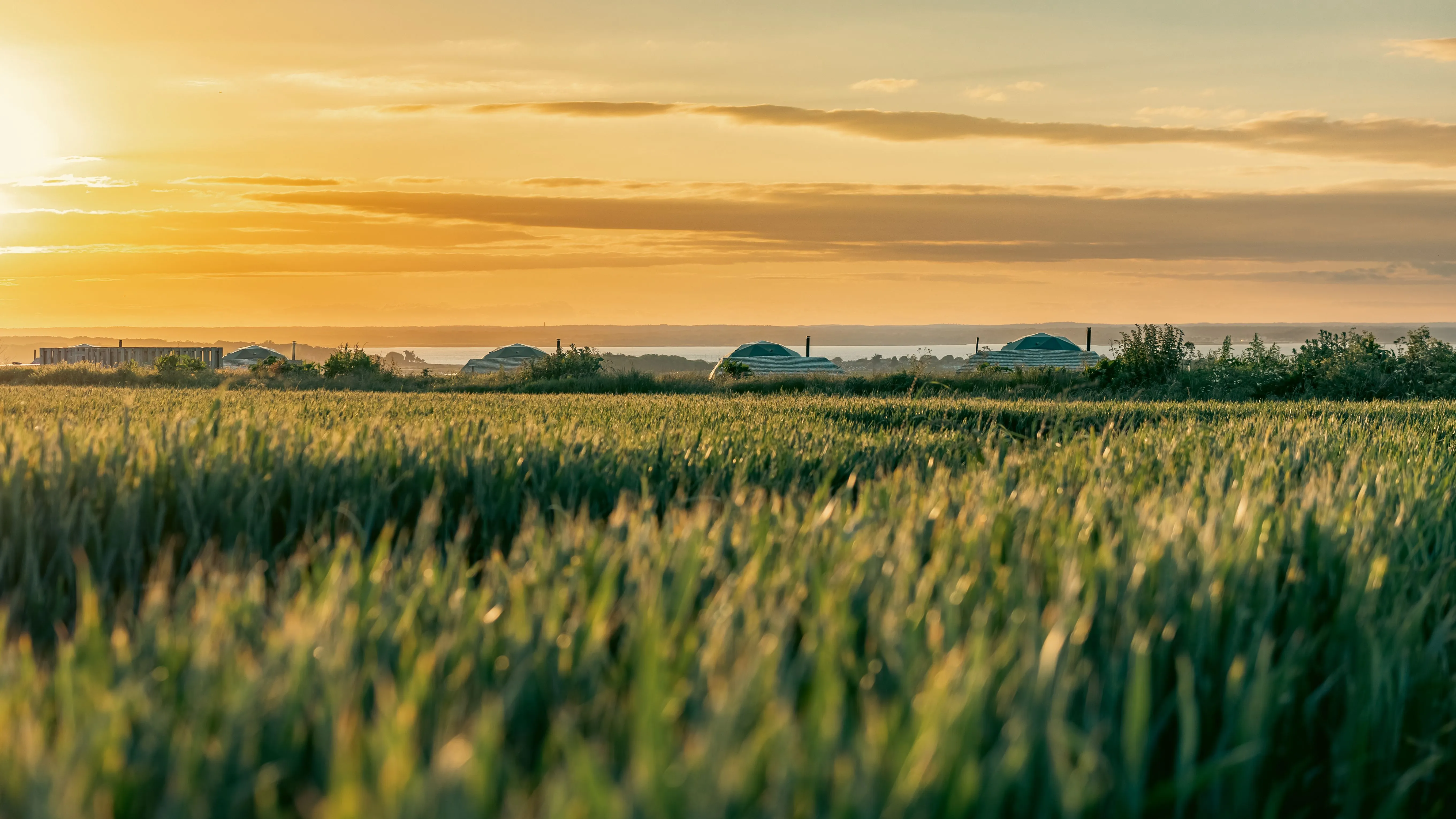 Golden sunset over a grassy field with domed huts on the horizon