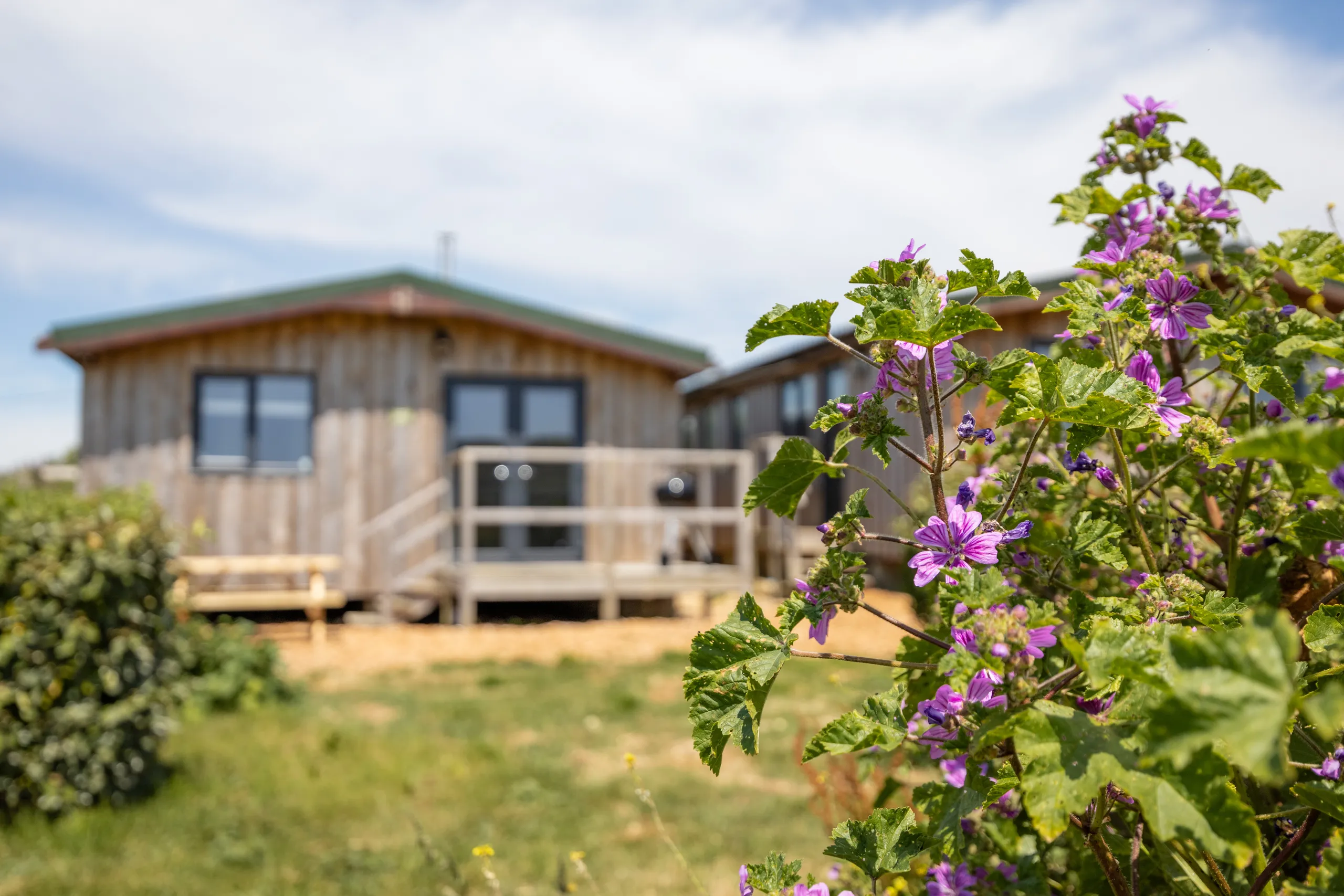 Camp Tapnell_Chalets_2024-23