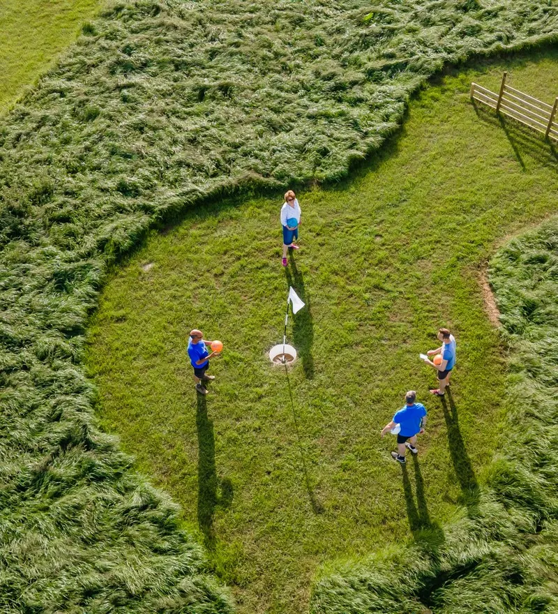 Aerial view of four people playing a lawn game around a flag on a grassy field.