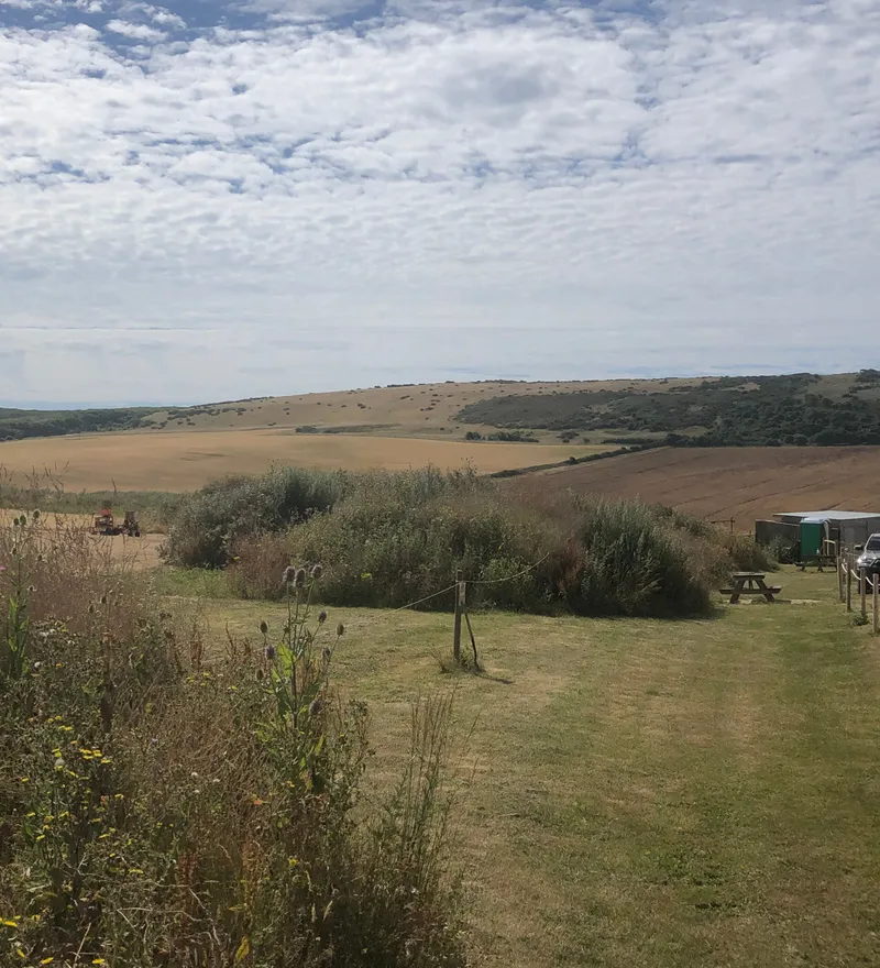 Rolling countryside with grassy track, wildflowers and broad cloud-filled sky