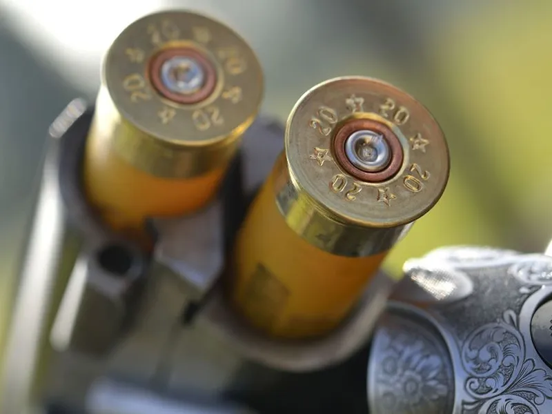 Close-up of two 20-gauge shotgun cartridges in a break-action shotgun