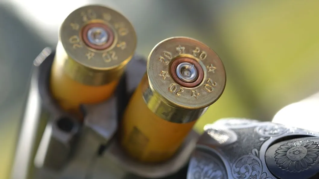 Close-up of two 20-gauge shotgun cartridges in a break-action shotgun