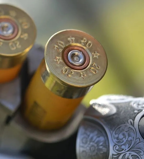 Close-up of two 20-gauge shotgun cartridges in a break-action shotgun