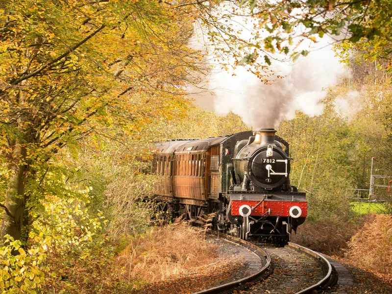 Steam locomotive pulling vintage carriages through an autumn woodland