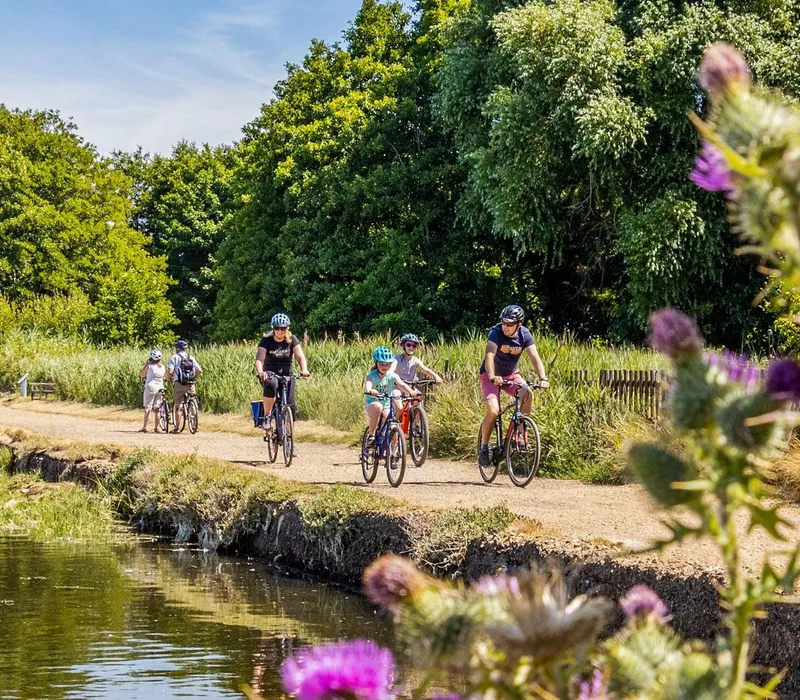 Family cycling along a sunny canal towpath with purple thistles in the foreground