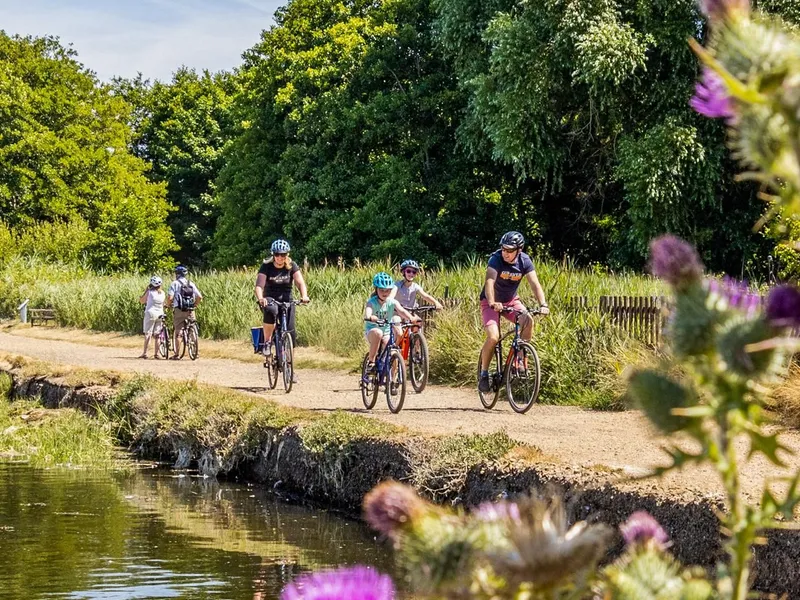 Family cycling along a sunny canal towpath with purple thistles in the foreground
