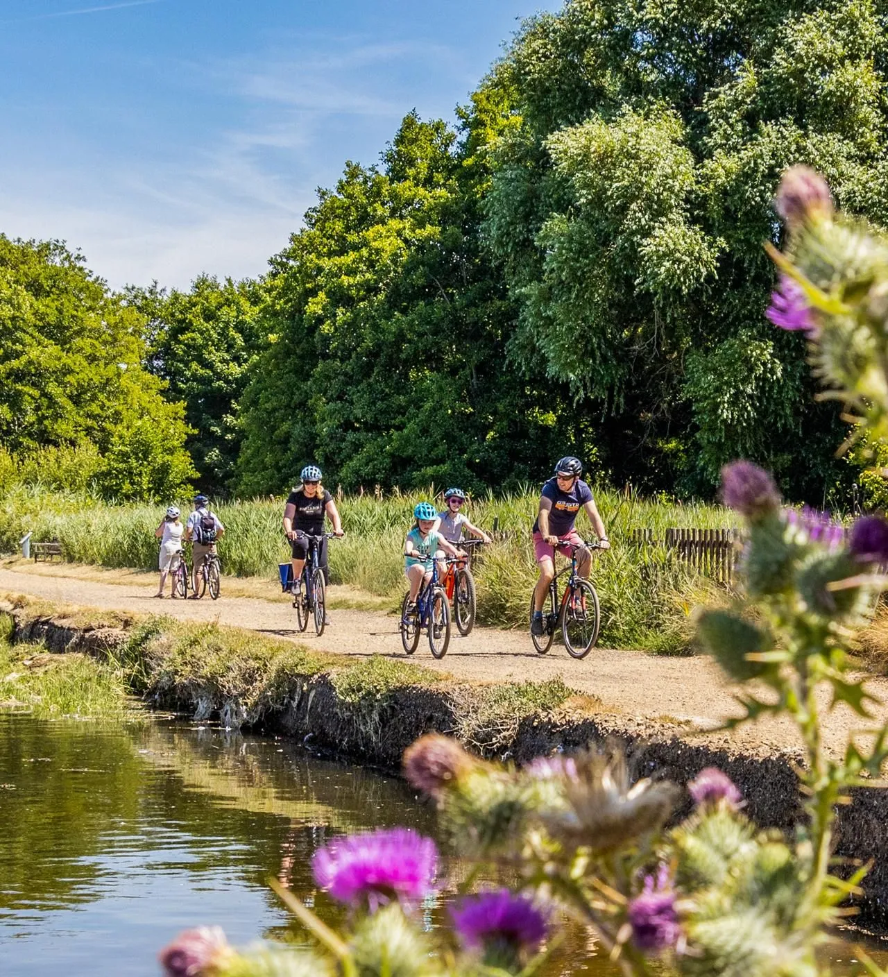 Family cycling along a sunny canal towpath with purple thistles in the foreground