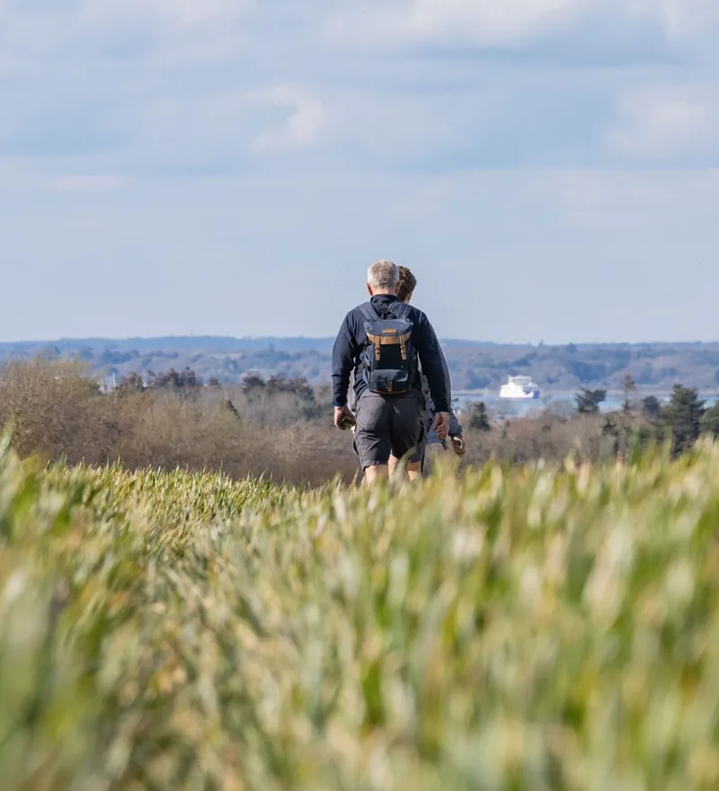 Two hikers walking away through long grass towards distant hills under a blue sky