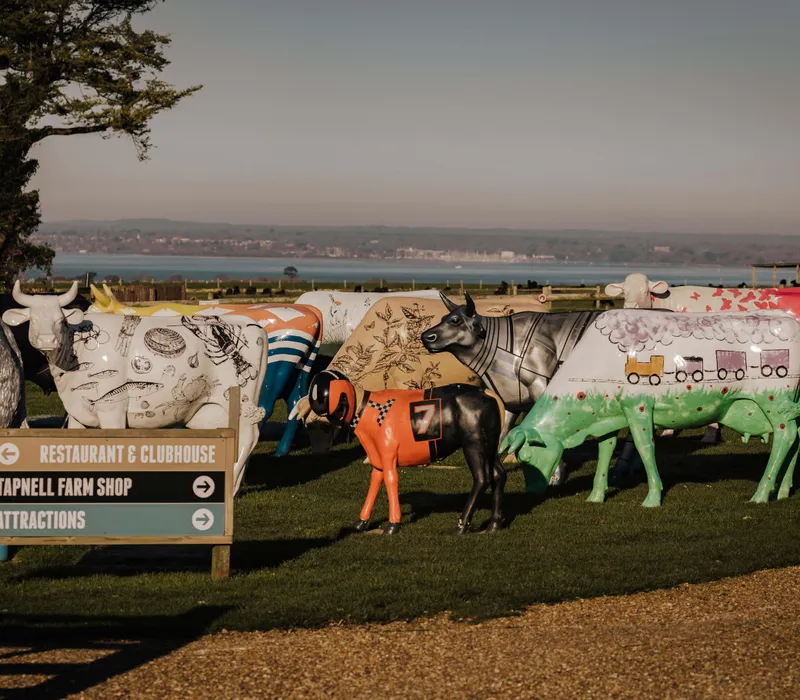 Colourfully painted cow sculptures on a grassy field beside a sign for a restaurant, farm shop and attractions, with a coastline in the distance.