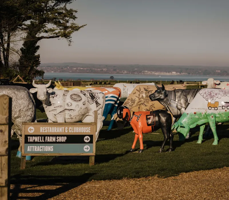 Colourfully painted cow sculptures on a grassy field beside a sign for a restaurant, farm shop and attractions, with a coastline in the distance.
