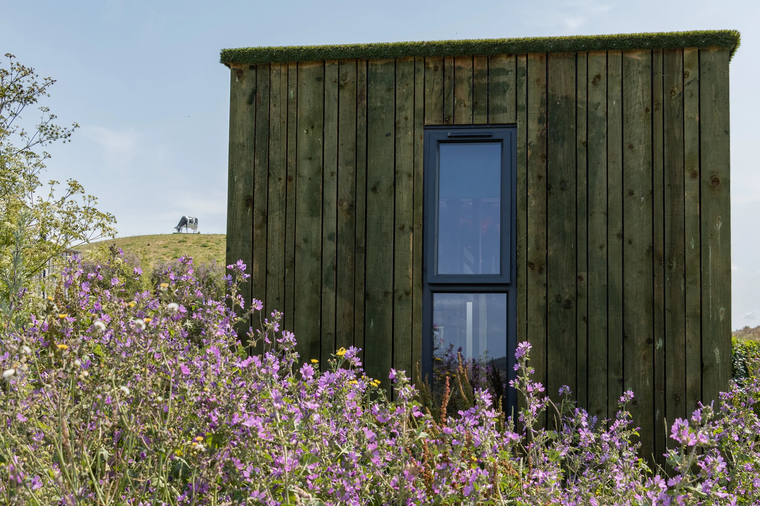 Timber-clad container cabin with a vertical window, surrounded by purple wildflowers under a clear sky