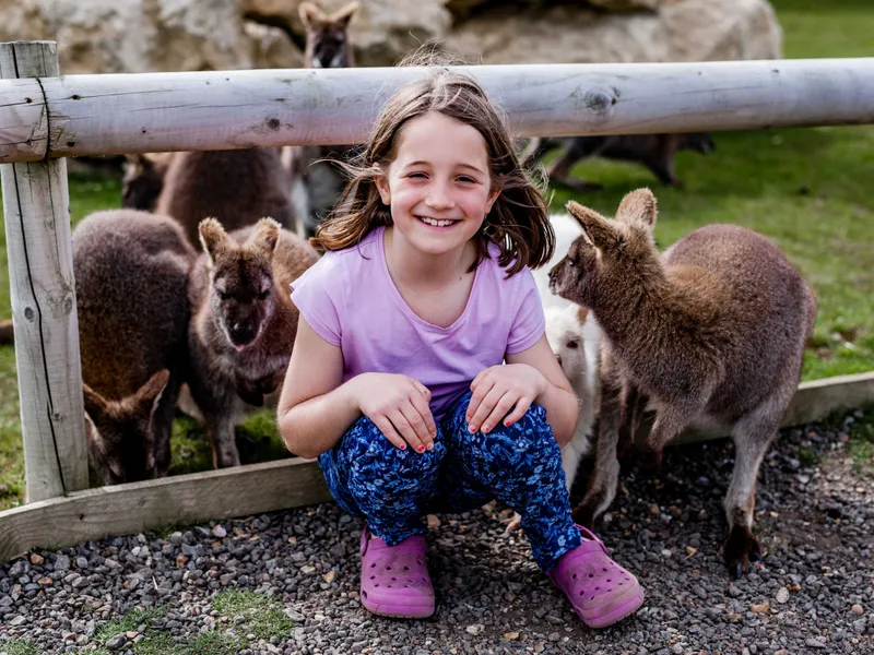 Smiling girl crouching by a wooden fence surrounded by wallabies in a grassy enclosure