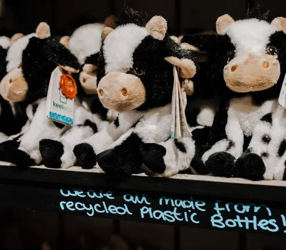 Plush toy cows sitting on a shop shelf with a sign reading they are made from recycled plastic bottles