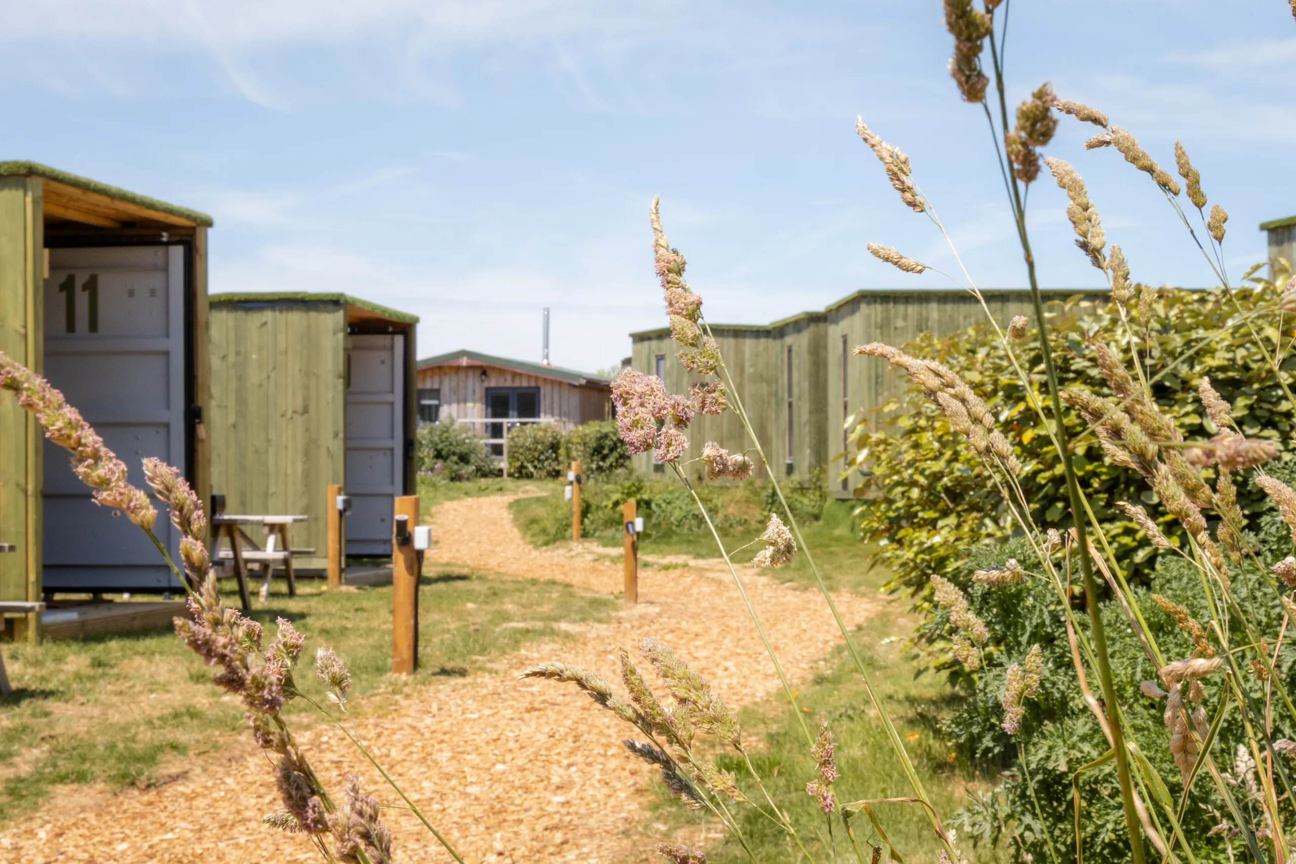 Wood-clad glamping cabins along a gravel path with grasses in the foreground