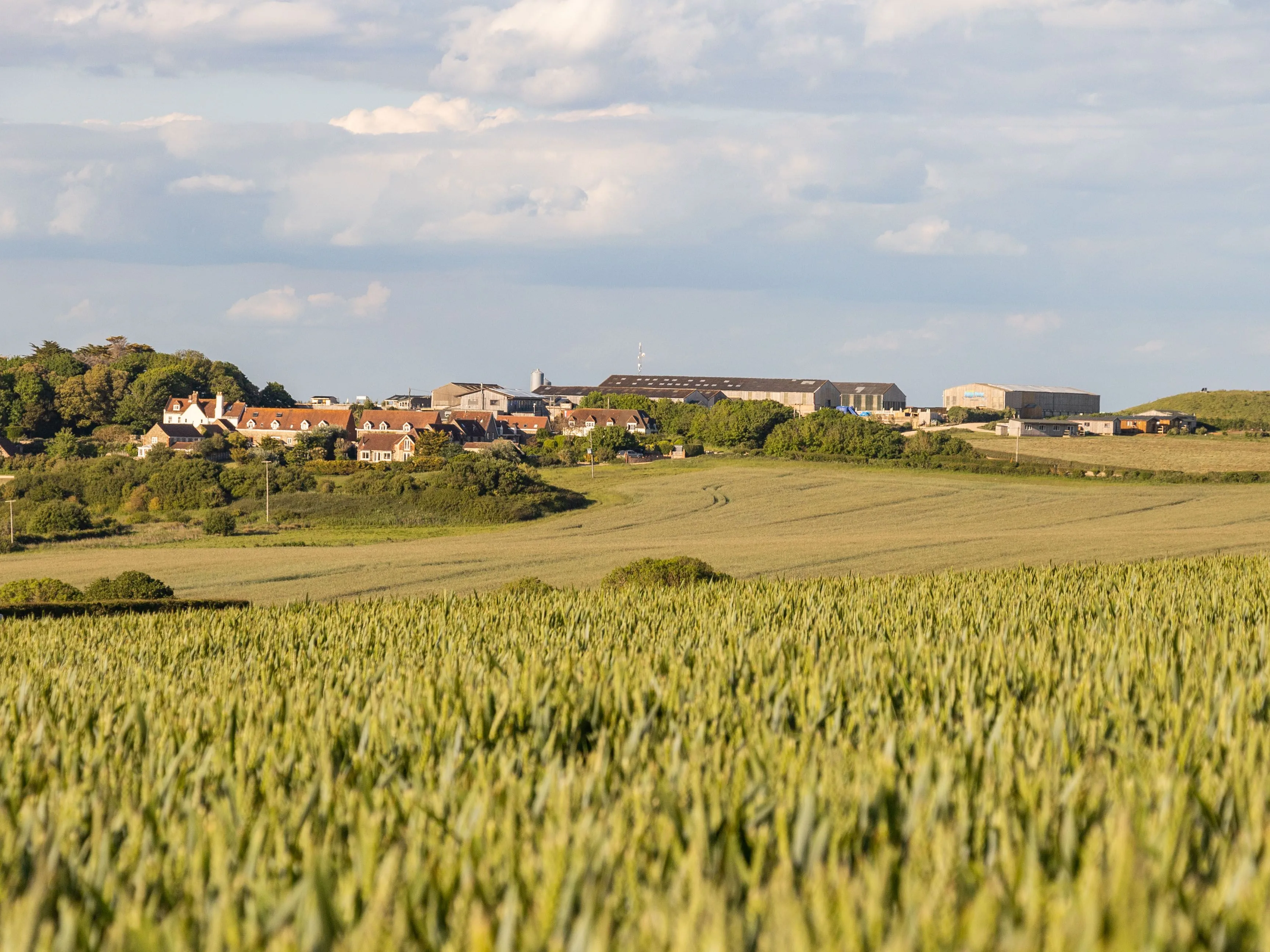 Distant view of Tapnell Farm buildings beyond green fields under a cloudy sky