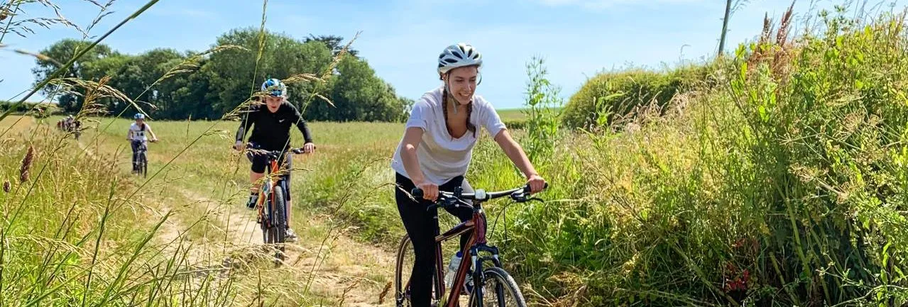 Three cyclists riding along a sunny countryside path bordered by tall grasses