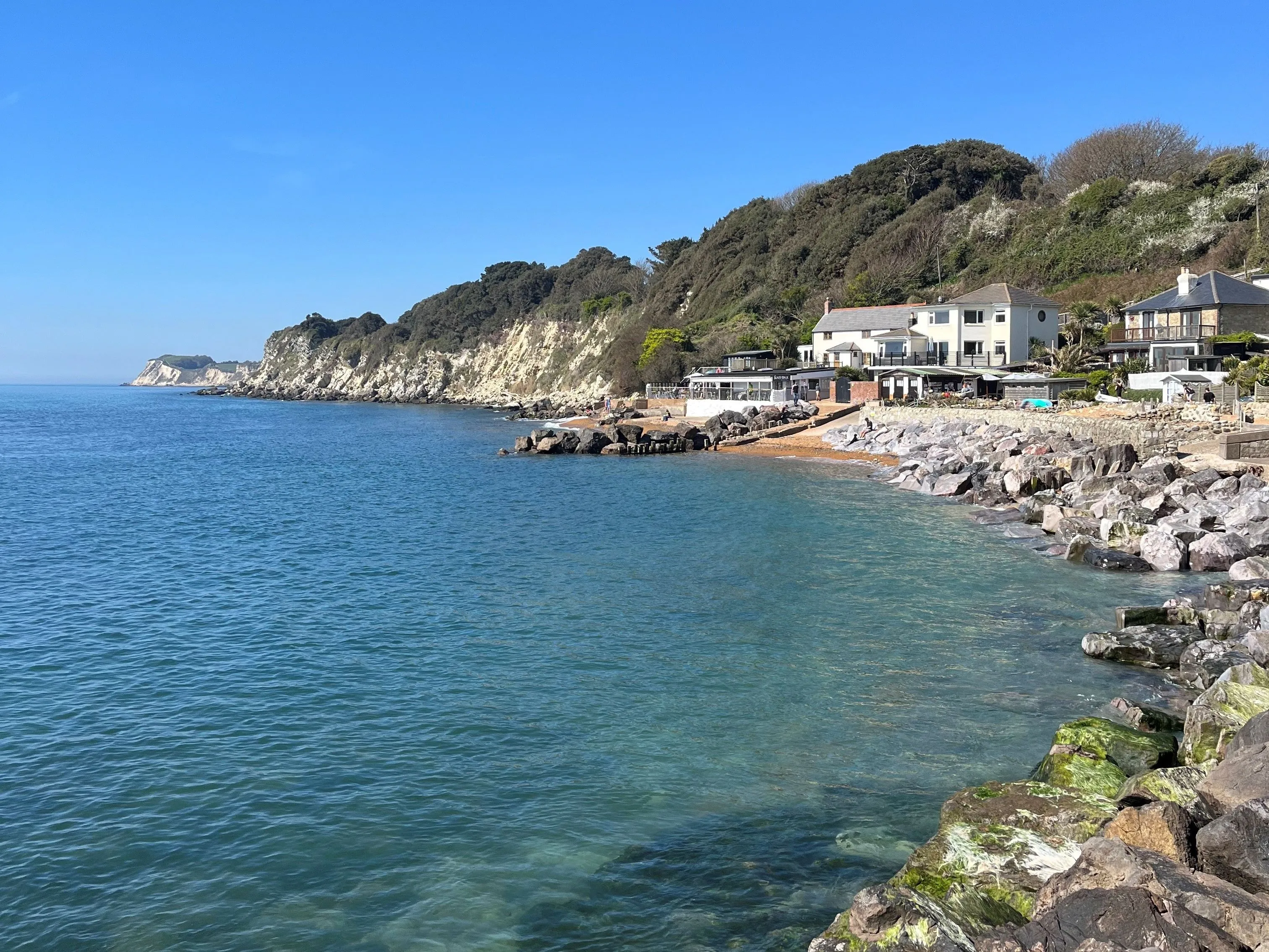 Steephill Cove shoreline with turquoise sea, rocky beach and white cliffs under a clear blue sky