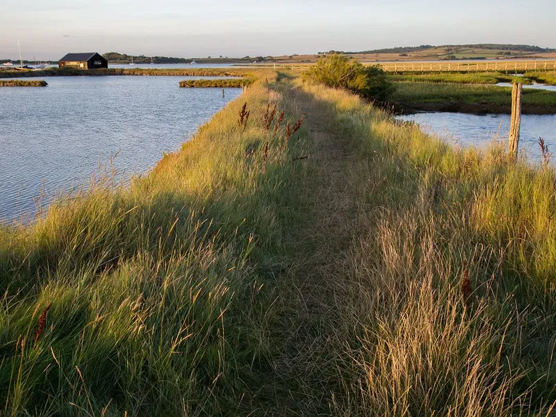 Grassy path along a coastal estuary with water on both sides and a small shed in the distance at sunset