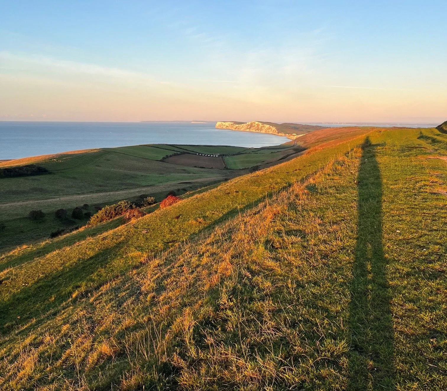 Golden hour view from a grassy hill over patchwork fields to the sea and sunlit white cliffs on the horizon