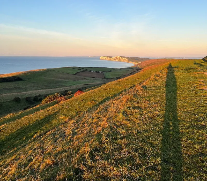 Golden hour view from a grassy hill over patchwork fields to the sea and sunlit white cliffs on the horizon
