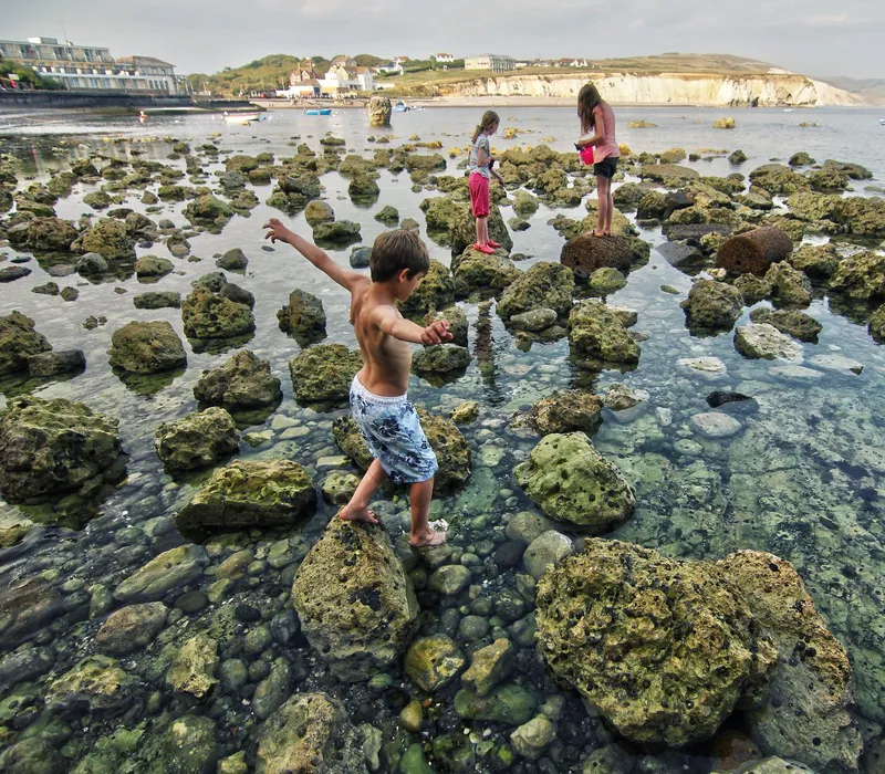 Children exploring coastal rock pools among seaweed-covered rocks at low tide, with cliffs and houses in the background
