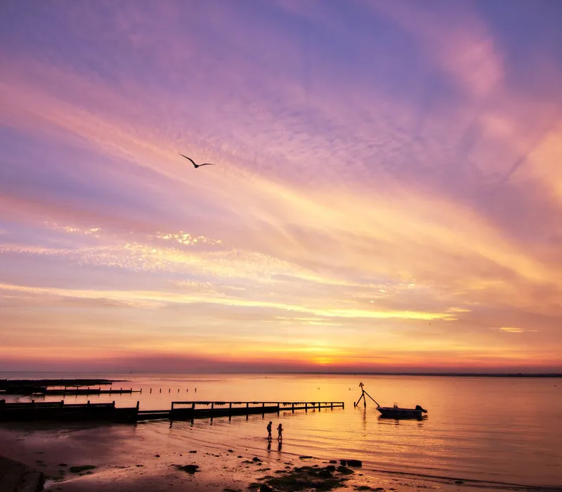 Vibrant sunset over a calm beach and harbour with a bird flying overhead